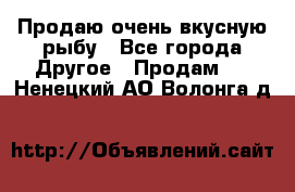 Продаю очень вкусную рыбу - Все города Другое » Продам   . Ненецкий АО,Волонга д.